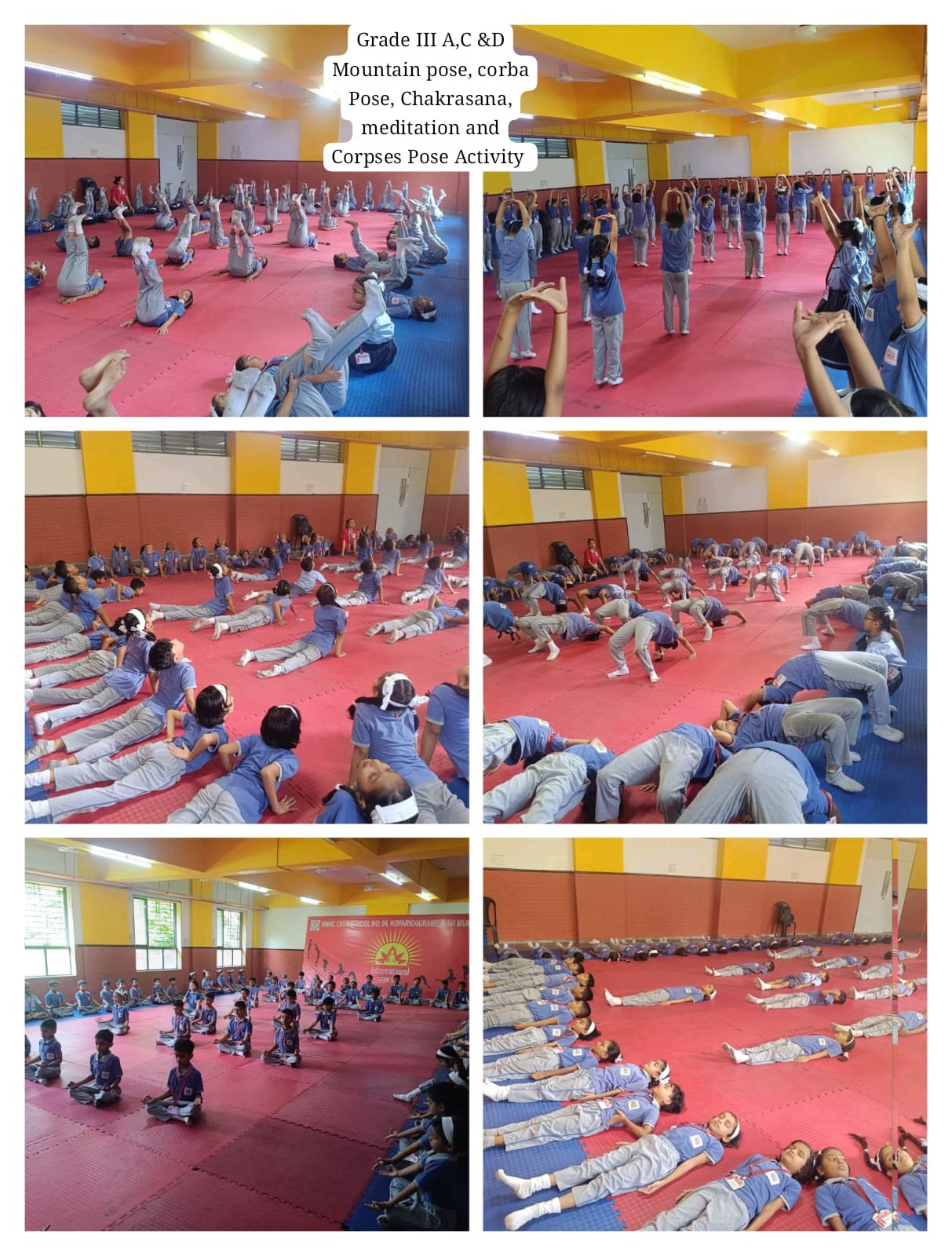 Activity 2